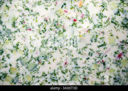 Gekühlte russische Okroschka mit Kwass, Kefir, Gurkenwürfeln, Radieschen, garniert mit duftenden Kräutern in rustikaler Keramikschale Stockfoto