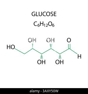 Glukosestrukturformel. C sechs H zwölf O sechs Text. Zuckermolekül-Vektor. Form des chemischen Diagramms. Stock Vektor