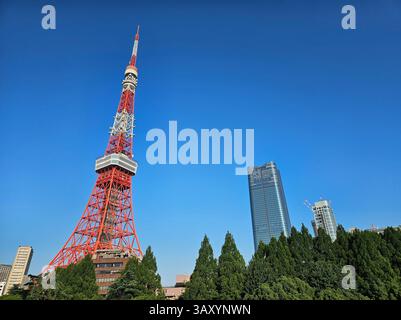 Tokyo Tower und Skyline der Roppongi Hills unter klarem blauen Himmel Stockfoto