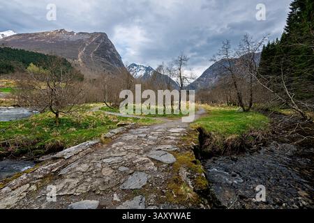 Ein gewundener Steinweg führt durch ein üppiges grünes Tal, das von hohen Bergen und einem grauen, bewölkten Himmel im frühen Frühjahr umgeben ist. Stockfoto