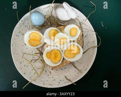 Aufgeschnittenes gekochtes hartes Huehner EI mit Eisweis und gelbe Doppel Dotter liegt auf einem Broetchen auf einem Teller mit Osterdeko Ostergras Deko Hasen auf dem Oster Fruehstueckstisch-Hamburg April2025-das EI, lateinisch ovum, ist ein System, das in einem fruehen Stadium der Entwicklung eines Eier legenden Tieres bildet wird Hamburg Deutschland *** in Scheiben gekochtes hartes Hühnerei mit Eiweiß und gelbem Doppel-Eigelb liegt auf einem Brot auf einem Teller mit Osterdekoration Ostergras Deko Häschen auf dem OsterFrühstückstisch Hamburg April 2025 das Ei Latin ovum, ist ein System, das bei gebildet wird Stockfoto