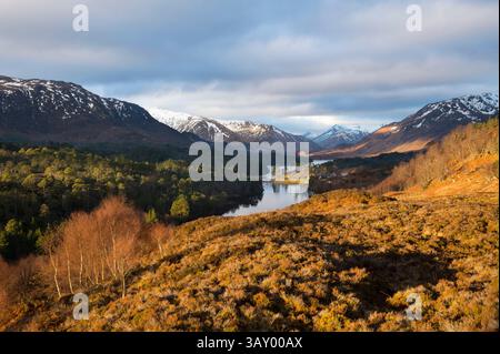 Sonnenaufgang über Glen Affric, Highlands, Schottland Stockfoto