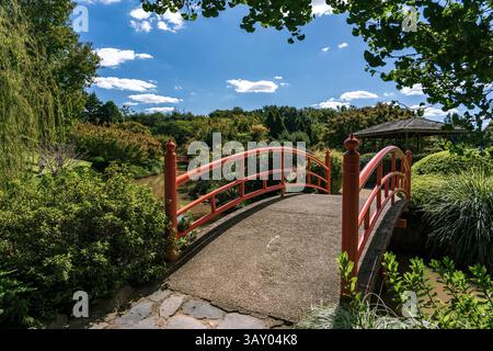 Toowoomba, Queensland, Australien – Japanische Gärten Stockfoto
