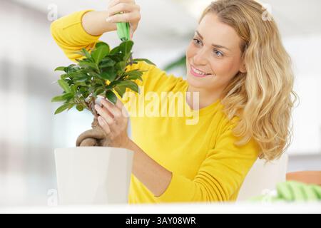 Die Dame in der gelben Pullover-Bewässerungspflanze Stockfoto