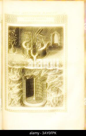 Eine detaillierte Abbildung eines komplexen mechanischen Geräts mit mehreren Ebenen und verschiedenen architektonischen Elementen. Es zeigt eine zentrale Struktur mit Bögen und geometrischen Mustern, umgeben von ornamentalen Designs und einem auffälligen unterirdischen Feature., Pumpe (37), manuell betriebene Pumpe für Brunnen, Kupfergravur, Abb. XXXVII, S. 57, 1588, Agostino Ramelli: Le diverse et artificiose Machine del capitano Agostino Ramelli (...). A Parigi: In Casa del'autore, 1588, klassische Kunst mit einem modernen Twist, neu gestaltet von Artotop Stockfoto