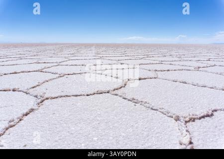 Endloser Horizont der Uyuni Salt Flat in Bolivien mit Sechseck-Texturen der Trockenzeit und reiner weißer Salzkruste Stockfoto
