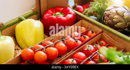 Nahaufnahme frisches Bio-Gemüse. Farm-to-Table. Stockfoto