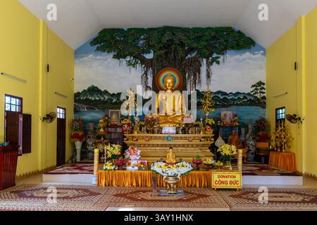 Buddha sitzt unter dem Feigenbaum (Baum des Erwachens), im Tempel Chùa Nam Quang Tự an der Cửa Đại Straße in Hoi an, Vietnam. Dieses 2-stöckige Buddhis Stockfoto