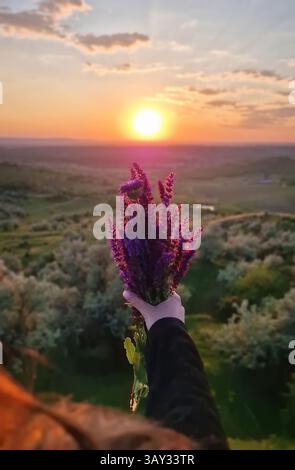 Nahaufnahme Frau Hand hält einen Blumenstrauß aus violetten Balkan-clary-Blumen vor dem Hintergrund des Sommers Sonnenuntergang Himmel. Salbei Salbei Salvia nemorosa Stockfoto