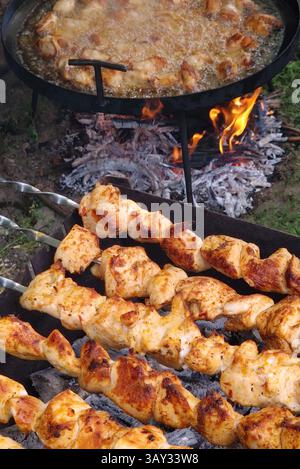 Kochen Kebab Grill am Feuer draußen. Köstliche Fleischspieße Grill und Braten Hähnchenflügel im Hintergrund Stockfoto