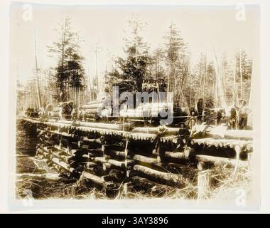 Eine Gruppe von Arbeitnehmern steht zwischen Holzstapeln, von denen einige aktiv mit dem Schneiden und Transportieren von Holz beschäftigt sind. Hoch aufragende Bäume und eine zerklüftete Landschaft umgeben sie, was die arbeitsintensive Umgebung früherer Holzfällerpraktiken hervorhebt., H. J. Hansen, American, Lumbering Days in Ludington, Michigan, 1890, Gelatinedruck, Bild: 7 7/8 x 9 3/4 Zoll (20 x 24,8 cm), Klassische Kunst mit modernem Twist neu interpretiert von Artotop Stockfoto