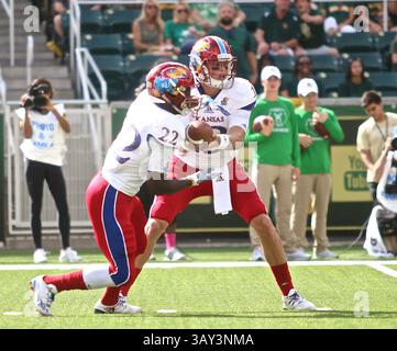 15. OKTOBER 2016: Ryan Willis (13) übergibt Ke'aun Kinner (22) während des NCAA-Fußballspiels zwischen Kansas Jayhawks und Baylor Bears im McLane Stadium in Waco Texas. Jeff Goldberg/CSM(Bild: © Jeff Goldberg/Cal Sport Media) Stockfoto