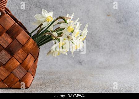 Weiße Narzissen mit gelben Mittelpunkten, die elegant über die Seite eines dunkelbraunen gewebten Korbes gelegt sind, vor einem rauen grauen Hintergrund, was auf eine nat hindeutet Stockfoto