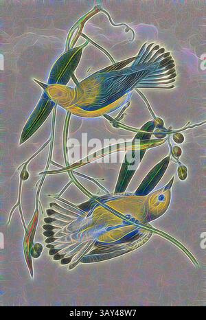 Zwei farbenfrohe Vögel, die zwischen abstraktem Laub thronen, ihre Flügel elegant ausgebreitet werden, während sie mit zarten Weinstöcken und Blättern in einem skurrilen, künstlerischen Stil interagieren., prothonotärer Sumpfwarbler, Lemon Warbler (Protonotaria citrea, Helinaia protonotarius), signiert: J.J. Audubon, J.T. Bowen, Lithograph, Pl. 106 (Vol. 2), Audubon, John James (gezeichnet); Bowen, J. T. (lith.), 1856: John James Audubon: the Birds of America: aus Zeichnungen in den Vereinigten Staaten und ihren Territorien. New York: Audubon, 1856, Klassische Kunst mit modernem Touch, neu interpretiert von Artotop Stockfoto