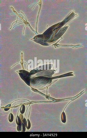 Zwei stilisierte Vögel auf Ästen, umgeben von zartem Laub. Ein Vogel befindet sich in aufrechter Position, während der andere etwas tiefer ist, beide zeigen komplizierte Details. Die Szene ist mit lebhaften Farben und einem sanften, leuchtenden Effekt durchzogen, der ihrer ruhigen Umgebung einen skurrilen Touch verleiht., Common Snow-Bird, Junko (Junco hyemalis, Nephaea hyemalis), signiert: J.J. Audubon, J.T. Bowen, Lithograph, PL. 167 (Vol. 3), Audubon, John James (gezeichnet); Bowen, J. T. (lith.), 1856: John James Audubon: the Birds of America: aus Zeichnungen in den Vereinigten Staaten und ihren Territorien. New York Stockfoto