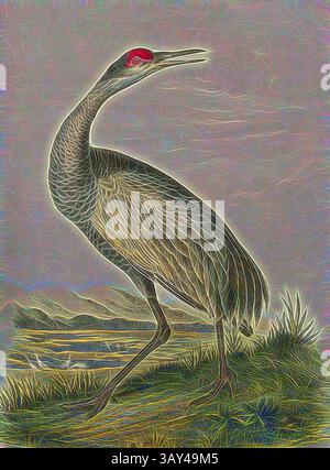 Ein markanter Reiher steht anmutig am Wasserrand und zeigt seinen langen Hals und seine komplizierten Federmuster. Das leuchtende Rot auf dem Kopf setzt einen starken Kontrast zu seiner eleganten Figur und verbindet Natur mit künstlerischem Flair., Keuchender Kranich, junger, schreiender Kranich (Grus americana), signiert: J.J. Audubon, J.T. Bowen, Lithograph, PL. 314 (Band 5), Audubon, John James (gezeichnet); Bowen, J. T. (lith.), 1856: John James Audubon: the Birds of America: aus Zeichnungen in den Vereinigten Staaten und ihren Territorien. New York: Audubon, 1856, Klassische Kunst mit modernem Touch, neu interpretiert von Artotop Stockfoto