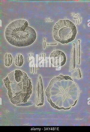 Eine Sammlung aufwendig gestalteter Naturobjekte und Artefakte mit verschiedenen Formen und Texturen, darunter Fossilien, Steine und Werkzeuge, in einem künstlerischen Layout angeordnet. Die einzigartigen Muster und Details heben die Schönheit und Komplexität jedes Gegenstands hervor. Fossilien 3, Seeigel-Vestings, Belemnite, Kupferplatte, Platte 5, nach S. 42, Johann Gerhard Reinhard Andreae, Briefe aus der Schweiz. Nach Hannover schreibt in dem Jare 1763. Zürich [etc.]: Bei Joh. Caspar Füessli Sohn [etc.], 1776, Klassische Kunst mit modernem Twist, neu interpretiert von Artotop Stockfoto