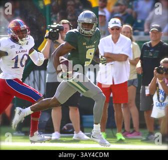 15. OKTOBER 2016: KD Cannon (9) stürzt im McLane Stadium in Waco Texas, Baylor besiegte Kansas mit 49:7. Im NCAA-Football-Spiel zwischen Kansas Jayhawks und Baylor Bears. Jeff Goldberg/CSM(Kreditbild: &Copy; Jeff Goldberg/CSM via ZUMA Wire) Stockfoto