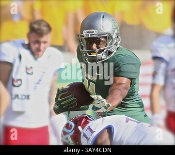 15. OKTOBER 2016: Pooh Stricklin (11) hat Mike Lee (11) und steht im McLane Stadium in Waco Texas im NCAA-Football-Spiel zwischen Kansas Jayhawks und Baylor Bears vor. Jeff Goldberg/CSM(Kreditbild: &Copy; Jeff Goldberg/CSM via ZUMA Wire) Stockfoto