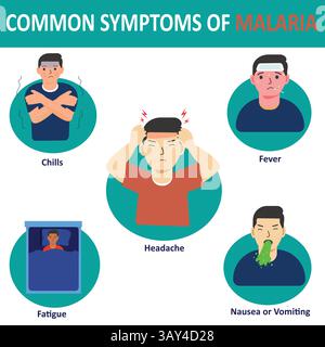Vektorinfographie der häufigen Malariamymptome Stock Vektor