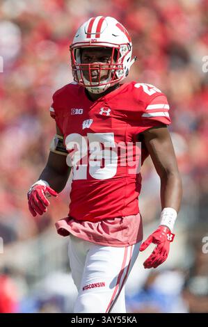 17. September 2016: Wisconsin Badgers Cornerback Derrick Tindal #25 während des NCAA Football-Spiels zwischen den Georgia State Panthers und den Wisconsin Badgers im Camp Randall Stadium in Madison, WI. Wisconsin besiegte Georgia State mit 23:17. John Fisher/CSM(Credit Image: &Copy; John Fisher/Cal Sport Media via ZUMA Wire) Stockfoto