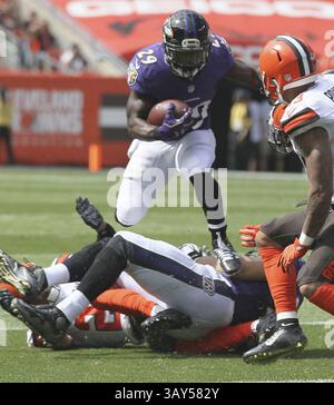 18. September 2016 – Cleveland, OH, USA – Justin Forsett von Baltimore Ravens versenkt seine Blockers im ersten Quartal gegen die Cleveland Browns am Sonntag, den 18. September 2016 im FirstEnergy Stadium in Cleveland, Ohio. (Bild: © Michael Chritton/TNS via ZUMA Wire) Stockfoto