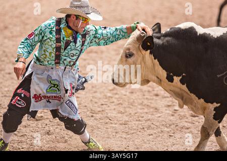 25. Juli 2015: Cheyenne, WY, Vereinigte Staaten von Amerika - Stierkämpfer Dusty Tuckness konfrontiert einen wütenden Bullen, nachdem er den Fahrer Zeb Lanham beim Rodeo der Cheyenne Frontier Days in der Frontier Park Arena am 25. Juli 2015 in Cheyenne, Wyoming geworfen hat. Die Frontier Days feiern die Cowboy-Traditionen des Westens mit einem Rodeo, einer Parade und einer Messe. (Bild: © Richard Ellis Via ZUMA Wire) Stockfoto