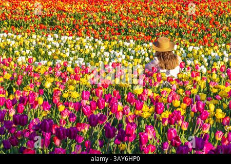 Junge Frau im Tulpenfeld am Frühlingstag mit Sonnenhut Stockfoto