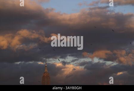 24. Oktober 2016 – New York City, NY, USA – Eine Schar Möwen fliegen am Empire State Building vorbei, als der Sonnenuntergang auf New York City am 24. Oktober 2016 untergeht. (Kreditbild: © Gary Hershorn via ZUMA Wire) Stockfoto