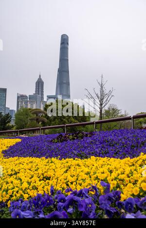 Hochhäuser der Stadt Shanghai vor bewölktem Himmel, China. Wolkenkratzer für Geschäfts- und Wohnbereiche und farbenfrohe Blumenbeete Stockfoto
