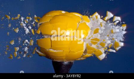 12. Oktober 2009 - Camarillo, Kalifornien, USA - Sailer nutzte seine Aversion gegen Süßigkeiten mit diesem Hit auf einem Hohlgummi. (Credit Image: © Alan Sailer/ZUMAPRESS.com). Stockfoto