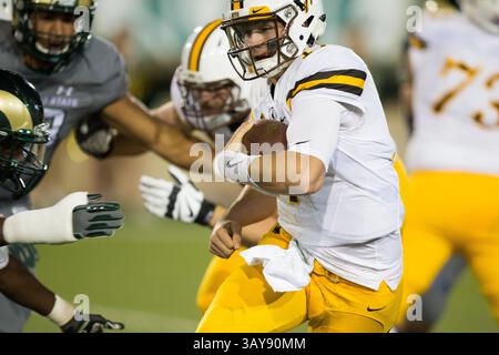 1. Oktober 2016: Der Quarterback der Wyoming Cowboys Josh Allen (17) startet mit dem Ball im zweiten Quartal in einem NCAA Football Matchup zwischen den Wyoming Cowboys und Colorado State Rams im Sonny Lubick Field, Hughes Stadium Fort Collins CO, Scott D Stivason/Cal Sport Media (Credit Image: &Copy; Scott D Stivason/Cal Sport Media via ZUMA Wire) Stockfoto
