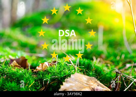 Von der Europäischen Union eingeführtes DSA (Digital Services Act). Neue Regeln für Online-Sicherheit, Content-Moderation und Plattformtransparenz. Konzept. Stockfoto