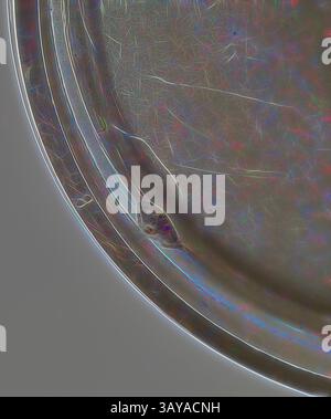 Abstrakte Nahaufnahme einer metallischen Oberfläche mit komplizierten Texturen und subtilen Highlights, die mit Licht und Farbe spielen und einen faszinierenden visuellen Effekt erzeugen, der an eine traumhafte Landschaft erinnert., Teekanne für den Tee- und Kaffeeservice mit Medallion-Muster, George Wilkinson, Designer (amerikanisch, geb. Brite, 1819-1894), Gorham Manufacturing Company, Silver Division, Hersteller (amerikanisch), J. E. Caldwell & Co., Philadelphia, Einzelhändler (amerikanisch), 1864-1867, Silber, 7 x 10 x 5/4", beschriftet, Seite: HR [Monogramm] eingeprägt, Unterseite: J. E. CALDWELL & Co., [Löwe Passant nach rechts Stockfoto