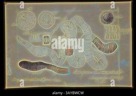 Eine abstrakte Anordnung von gekrümmten und spiralförmigen Formen, die organischen Formen ähneln, durchsetzt mit kreisförmigen und gestreiften Mustern, schafft eine visuell eindrucksvolle Komposition voller Bewegung und Textur., Bleistift- und Aquarellillustration - Giant Gippsland Earthworm, Megascolides australis, Arthur Bartholomew, 1873, Illustration eines Giant Gippsland Earthworm, Megascolides australis, von Arthur Bartholomew, 1873, für Platte 7 in The Prodroy of the Coderick of the Freus of the Freus of the Victoria. In der ursprünglichen Beschreibung des riesigen Regenwurms aus South Gippsland machte McCoy den häufigen Irrtum, anzunehmen Stockfoto
