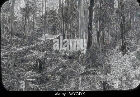 Eine dichte Waldszene mit hohen Bäumen und Unterholz, die eine strukturierte, fast ätherische Atmosphäre schafft, in der Licht durch die Äste filtert und komplizierte Schatten auf den Boden wirft. Lantern Slide - Upper Yarra Track, Dandenong Ranges, Victoria, 1904-1907, Schwarzweißbild einer Goldsucher-Familie gefunden auf einer der Wanderungen des Upper Yarra Track, fotografiert von A.J. Campbell. A.J. Campbell unternahm zwei Wanderungen entlang des Upper Yarra Track, eine im Jahr 1904 und die andere im Jahr 1907. Dies ist eine von vielen Glaslaternen-Rutschen, die die A.J. Campbell Collection des Museum Victoria bilden Stockfoto