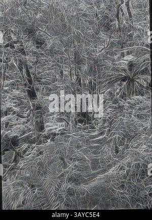 Eine dichte Waldszene mit komplizierten Mustern und Texturen, die verdrehte Äste und Blätter zeigen, die eine fast ätherische Atmosphäre schaffen. Licht filtert durch das Baldachin und verbessert die mystische Qualität der Umgebung., Lantern Slide - Upper Yarra Track, Victoria, 1904-1907, Schwarzweißbild des eigentlichen Upper Yarra Track, das zeigt, wie es zum Teil nur ein einziger Weg durch die dicke natürliche Vegetation ist, fotografiert von A.J. Campbell. Eine von vielen, die die A.J. Campbell Collection im Museum Victoria bilden, klassische Kunst mit einem modernen Touch, neu interpretiert von Artotop Stockfoto