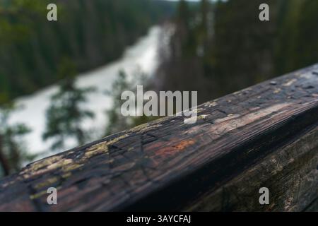 Eine Nahaufnahme eines Aussichtsalters über einem Fluss unterhalb eines nordischen Waldes. Stockfoto