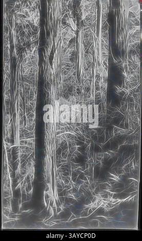 Eine dichte Waldszene, in der hohe Bäume inmitten von komplexen Ästen und Laub aufsteigen und ein Gefühl von Tiefe und Geheimnis im Unterholz schaffen. Das Zusammenspiel von Licht und Schatten betont die natürlichen Strukturen und Formen der Landschaft., Lantern Slide - Trees, Australia, Date Unknown, Schwarz-weiß-Bild hoher australischer Bäume, fotografiert von A. G. Campbell, Sohn von A. J. Campbell., Klassische Kunst mit modernem Touch, neu interpretiert von Artotop Stockfoto
