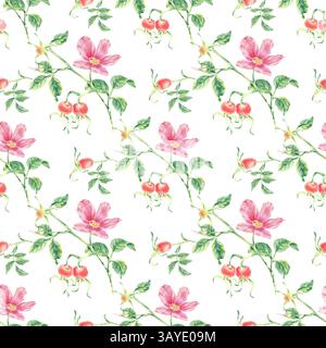 Rosa wilde Rose nahtloses Muster mit Blume, Beere, Blatt Aquarellillustration auf weiß. Hagebuttenblüten, Beeren drucken handgezeichnete botanische Skizze Stockfoto
