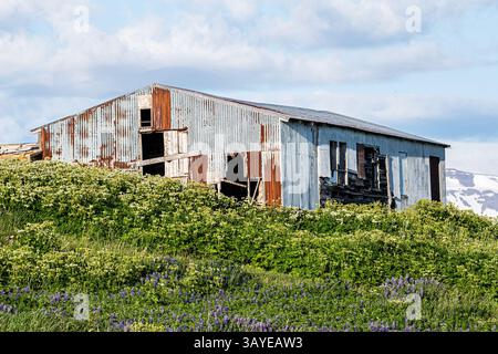 Altes verlassenes Haus auf der Insel Hrisey im Norden Islands Stockfoto