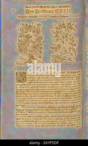 Eine komplizierte Illustration zeigt zwei detaillierte botanische Elemente, umgeben von verzierten, fließenden Texten, die ihre Eigenschaften beschreiben. Das Arrangement schafft eine harmonische Mischung aus Kunst und Information, die das Studium der Natur in einer früheren Ära widerspiegelt. Weiße Rebe bis schwarze Katzenminze, Stickwurtz, Hundstürbs und Schwartze Stickwurtz, Fol. 443v, 1590, Pietro Andrea Mattioli, Joachim Camerarius: Kreuterbuch desz hochgelehrten unnd weitberühmter Herr D. Petri Andreae Matthioli. Franckfort am Mayn: [Feyrabendt], 1590, Klassische Kunst mit einem modernen Twist von Artotop Stockfoto