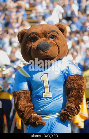 09. Oktober 2010 während des NCAA Football Game zwischen den Cal Golden Bears vs University California Los Angeles Bruins UCLA Maskottchen im Memorial Stadium Berkeley CA(Bild: © Thurman James/Cal Sport Media/ZUMApress.com) Stockfoto
