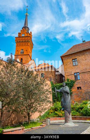 Kathedrale Basilika der Geburt der Heiligen Jungfrau Maria in Tarnow, Polen. BILD Stockfoto