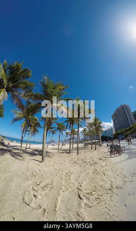Kokospalmen am Copacabana Beach in Rio de Janeiro Brasilien. Stockfoto