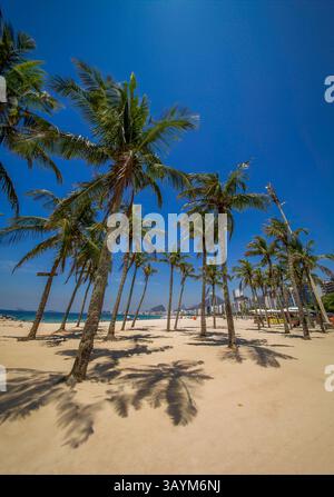 Blick auf Kokospalmen am Copacabana Strand in Rio de Janeiro, Brasilien. Stockfoto
