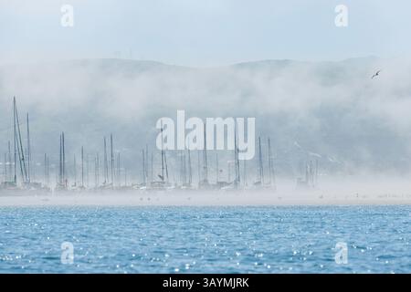 Segelboote an einem nebeligen Tag im Morro Bay Harbor, Morro Bay, Kalifornien, USA. Stockfoto