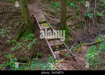 Gebrochene Holzbrücke im Krivoklat-Wald in Tschechien. BILD Stockfoto