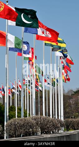 Eine Sammlung verschiedener Nationalflaggen, die unter klarem blauen Himmel im Wind flattern. Ideal für Themen wie internationale Konferenzen, United Natio Stockfoto