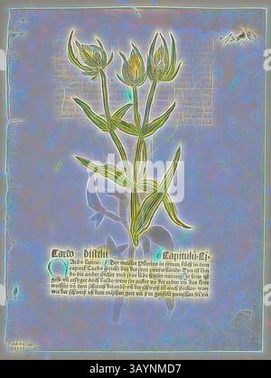 Eine botanische Illustration mit einer zarten Pflanze mit langen Blättern und spitzen Blüten, begleitet von Text, der ihre Eigenschaften und Verwendungen beschreibt. Der Hintergrund verleiht einem strukturierten, künstlerischen Flair. Thistle (recto) und Thistle Knospen (verso) aus Gart der Gesundheit (auch Hortus sanitatis oder Garten der Gesundheit genannt), Platte 32 aus Holzschnitten aus Büchern des 15. Jahrhunderts, 1485, Portfolio zusammengestellt 1929, zugeschrieben von Erhard Reuwich (Niederländisch, um 1455–c.) 1490), gedruckt und herausgegeben von Peter Schöffer (deutsch, ca. 1425–ca. 1503), Originaltext von Johann Wonnecke von Cube (deutsch, ca. 1430–1503) Stockfoto